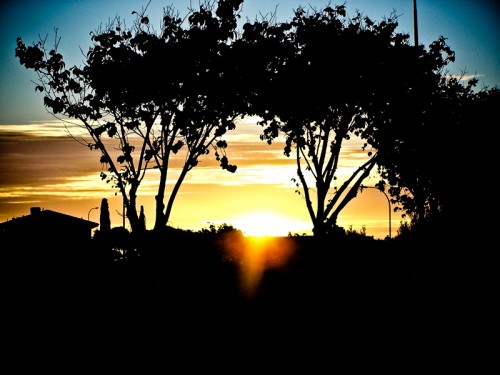 Jan 29 - Ending Silhouette