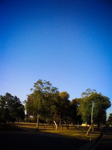 Feb 18 - The Parklands